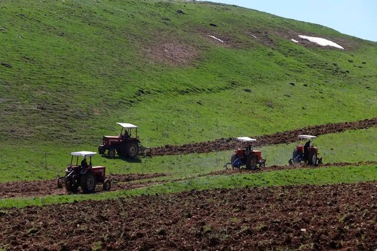 کاهش تورم تولید بخش کشاورزی در تابستان ۱۴۰۲