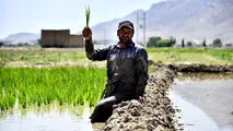 آیین نامه اجرای قانون حفاظت از خاک در دولت