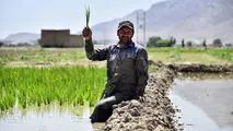 آیین نامه اجرای قانون حفاظت از خاک در دولت