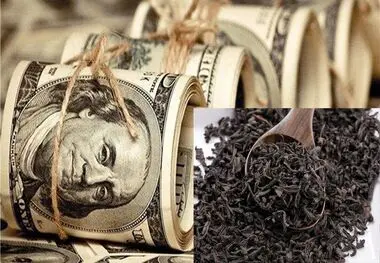 حتی یک دلار ارز ترجیحی برای واردات چای ندادیم