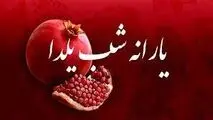 زمان واریز یارانه شب یلدا ۱۴۰۲ ، تصمیم شبانه دولت