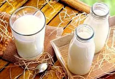 ۵ افسانه نادرست درباره شیر