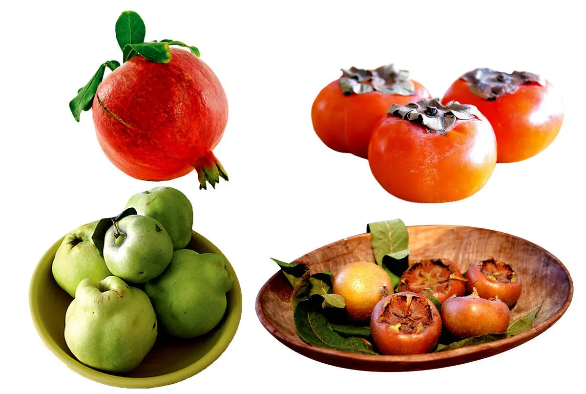 این میوه‌ها نمی‌گذارند آنفولانزا بگیرید