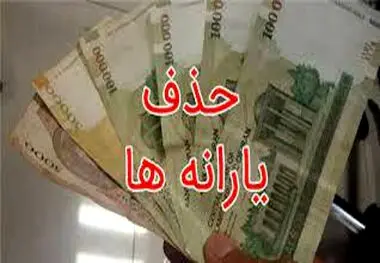 حدف یارانه برخی خانوارها تایید شد ، دلیل حذف چیست؟