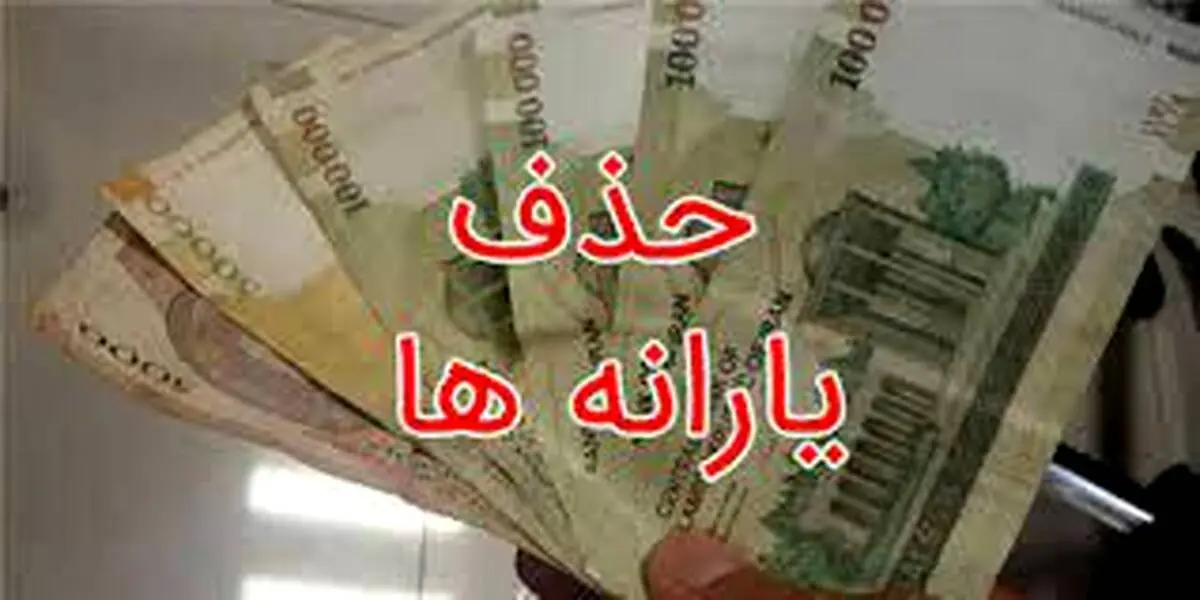 حدف یارانه برخی خانوارها تایید شد ، دلیل حذف چیست؟