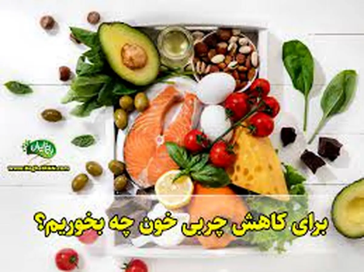 با این غذاها چربی خون شما آسانسوری پایین می‌آید