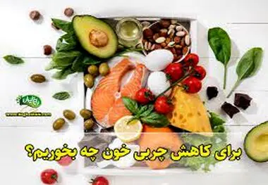 با این غذاها چربی خون شما آسانسوری پایین می‌آید