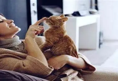 اگر حیوان خانگی دارید این هشدار را جدی بگیرید!