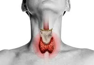 بهترین آجیل برای کم کاری تیروئید