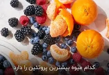 میوه های پر پروتئین که لاغرتان می کنند