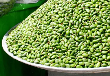 این میوه نوبرانه هر کیلو نیم میلیون تومان
