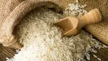 درباره آرسنیک؛ آلودگی شایع در برنج بیشتر بدانیم