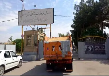 محسن ضیائی : حمل حدود  116 هزار تن گندم خریداری شده از کشاورزان به کارخانجات آرد سازی و سیلو های دولتی استان اصفهان
