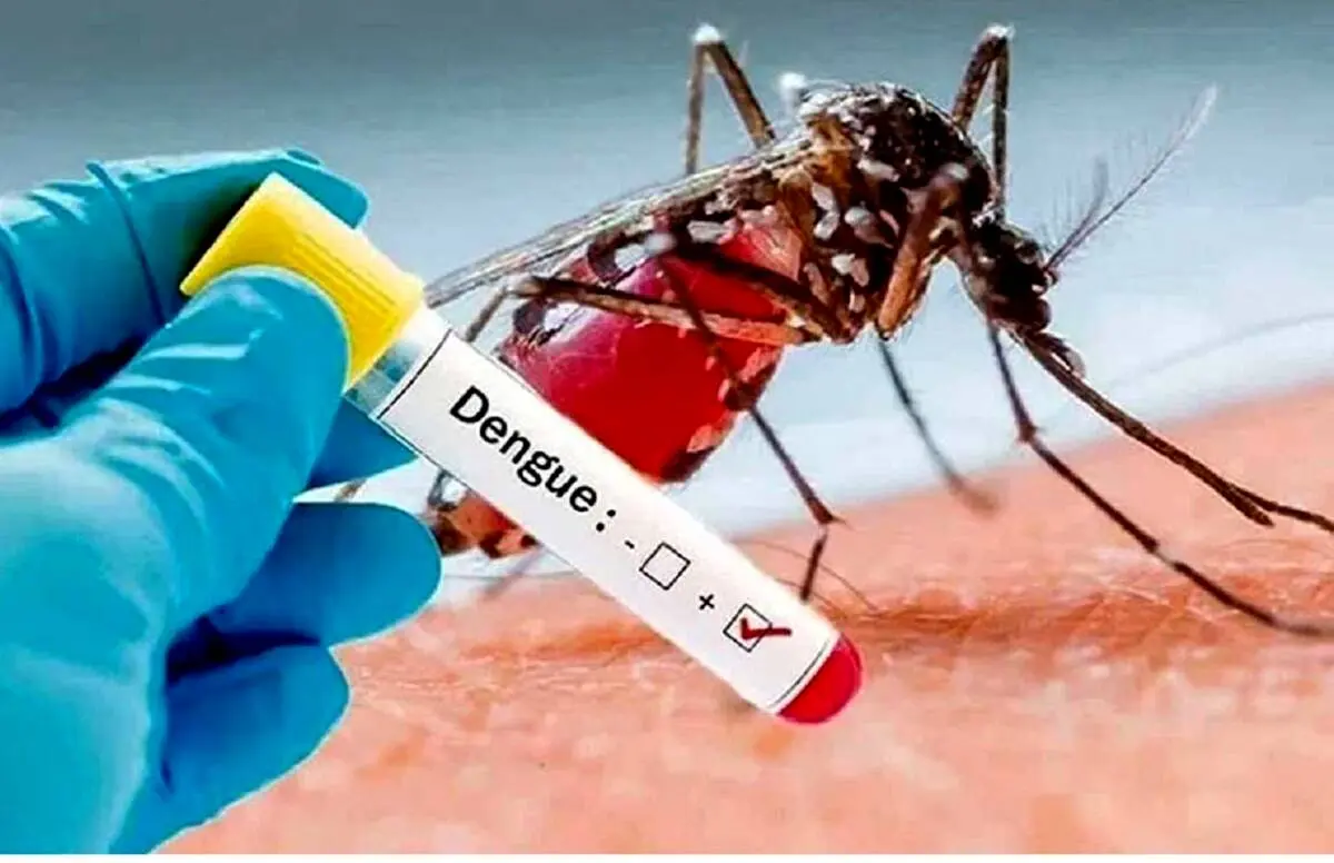 ابتلای این افراد به تب دنگی خطرناک است