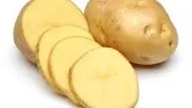 سیب زمینی از ابتلا به این نوع سرطان پیشگیری می کند