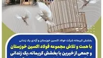 بخشش کریمانه فولاد اکسین خوزستان و آزادی یک زندانی
