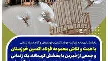 بخشش کریمانه فولاد اکسین خوزستان و آزادی یک زندانی