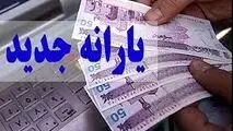 یارانه جدید در راه است؟ جزییات طرح جدید یارانه‌ای دولت پزشکیان