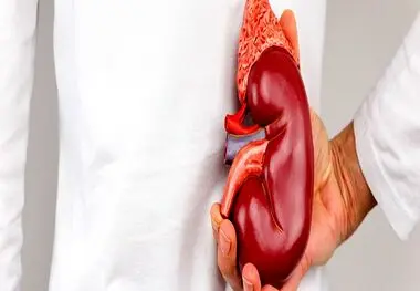 آسیب حاد کلیه سلامت مغز را تهدید می کند