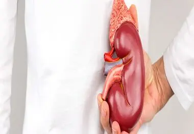 آسیب حاد کلیه سلامت مغز را تهدید می کند