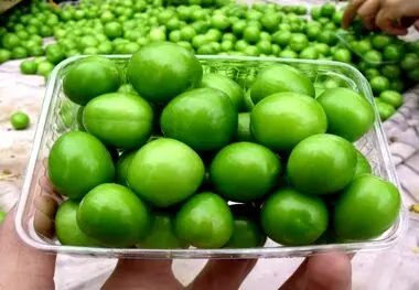 چغاله بادام۷۰۰هزار تومانی و گوجه سبز ۲میلیون تومانی