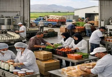 غذا و دارو، یکی از ارکان پایداری سلامت و امنیت غذایی کشور