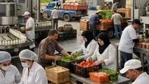 غذا و دارو، یکی از ارکان پایداری سلامت و امنیت غذایی کشور
