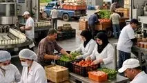 غذا و دارو، یکی از ارکان پایداری سلامت و امنیت غذایی کشور