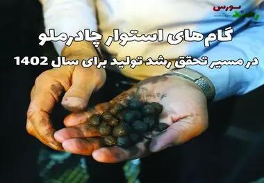 گام‌های استوار چادرملو در مسیر تحقق رشد تولید برای سال ۱۴۰۲