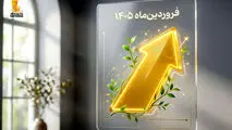 از حمایت خانوار تا توسعه خدمات دیجیتال

