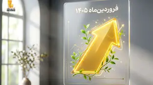 از حمایت خانوار تا توسعه خدمات دیجیتال
