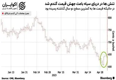 موشک‌های کرملین باعث جهش قیمت گندم شد و وسط سفره غذایی مردم جهان فرود آمد