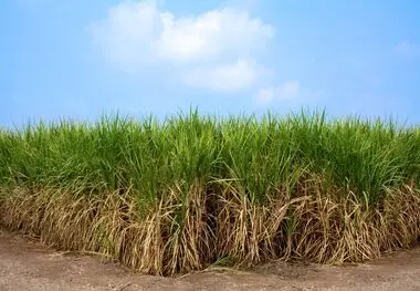 سنگین‌ترین عرضه اولیه تاریخ بورس در راه بازار سرمایه