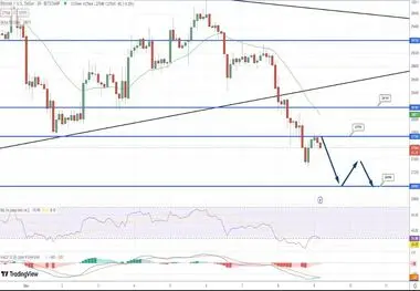 آیا تداوم کاهش قیمت بیت کوین ادامه دارد؟|بیت کوین صعود می کند یا سقوط؟