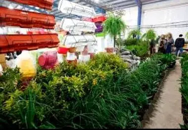 اولین نمایشگاه تخصصی گلخانه، باغبانی و نهاده‌ها در اصفهان برگزار می شود