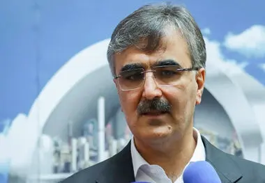 فرزین: عملیات احیای ثبات ارزی ادامه دارد!