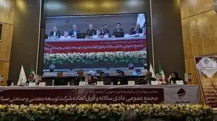 صبانور ۶۳ تومان سود نقدی میان سهامداران تقسیم کرد