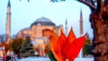 بررسی هزینه سفر پاییزی به کشور ترکیه
