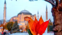 بررسی هزینه سفر پاییزی به کشور ترکیه
