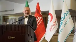 مشارکت راهبردی بیمه دی در «صندوق تضمین غیر دولتی»