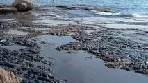 تیشه فقدان زیرساخت فاضلاب به ریشه کاسپین