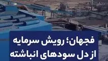 فجهان؛ رویش سرمایه از دل سودهای انباشته