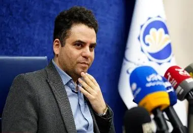 رصد دقیق زنجیره مشاغل خانگی در وزارت کار، قابل تقدیر است