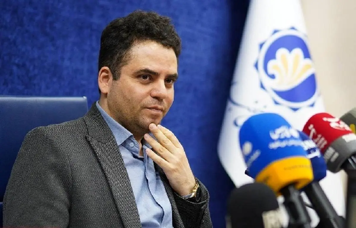 رصد دقیق زنجیره مشاغل خانگی در وزارت کار، قابل تقدیر است