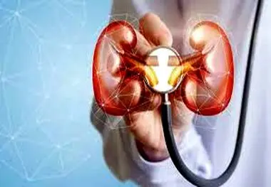 دیابتی ها و کسانی که فشار خون دارند مراقب کلیه هایشان باشند! عوامل اصلی سنگ کلیه