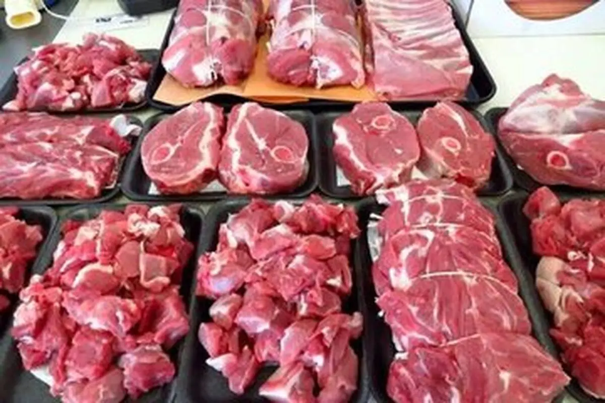 عرضه گوشت ارزان آغاز شد / گوشت را کیلویی ۵۰۰ هزار تومان ارزان‌تر بخرید + جدول

