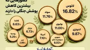 اینفوگرافی