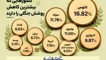 اینفوگرافی