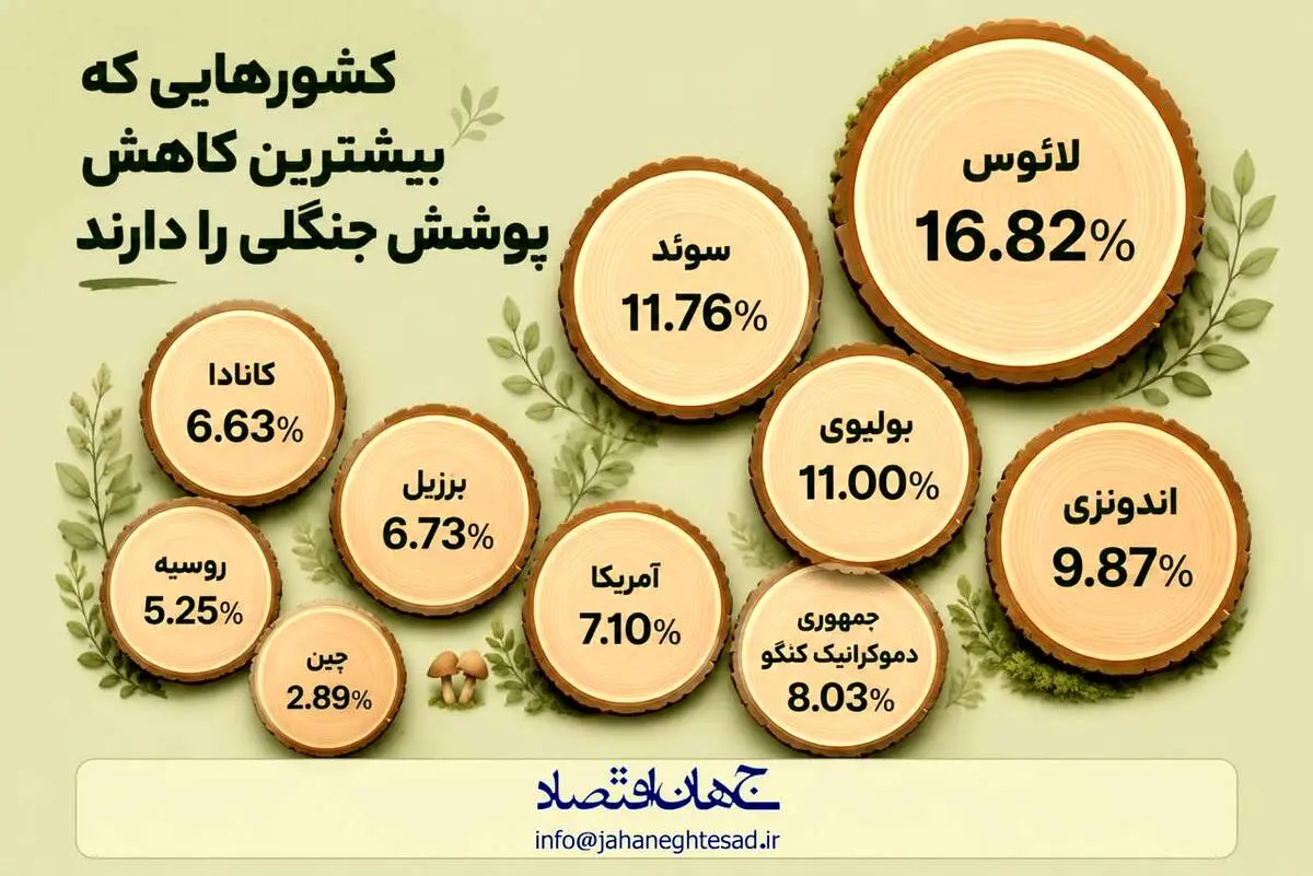 اینفوگرافی