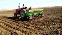 مدیر جهاد کشاورزی شهرستان خبر داد:
استقبال کشاورزان سیروان از کاشت گیاهان علوفه‌ای